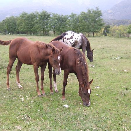 Agriturismo Al Ranch Castello dʼAviano Εξωτερικό φωτογραφία