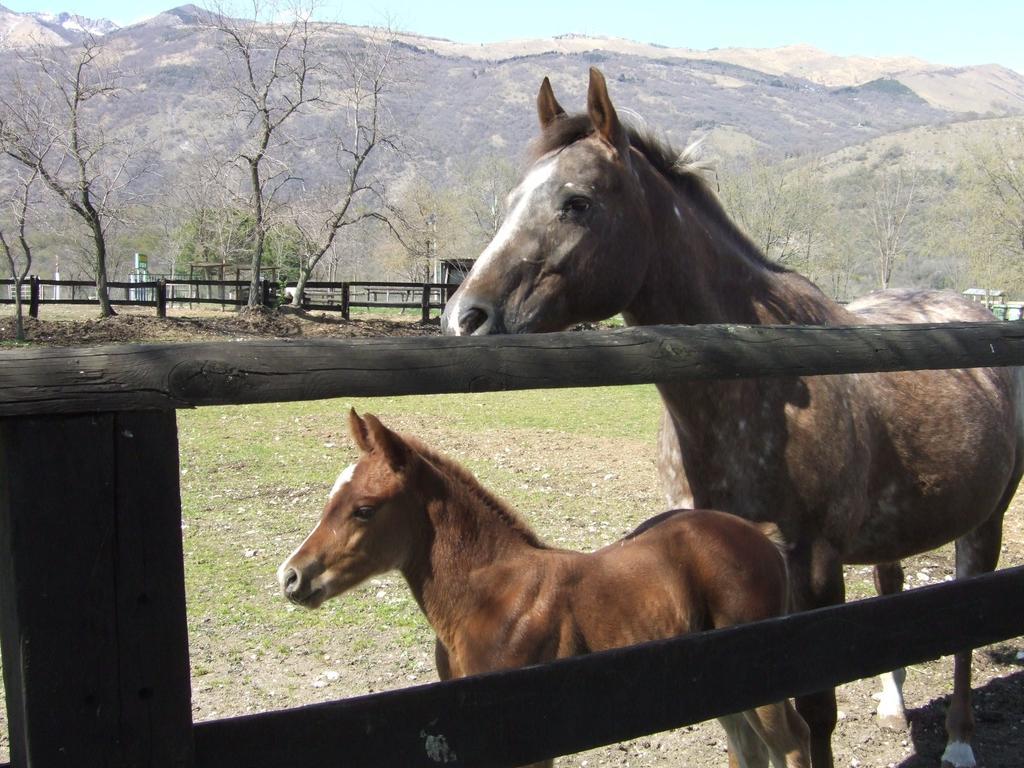 Agriturismo Al Ranch Castello dʼAviano Εξωτερικό φωτογραφία