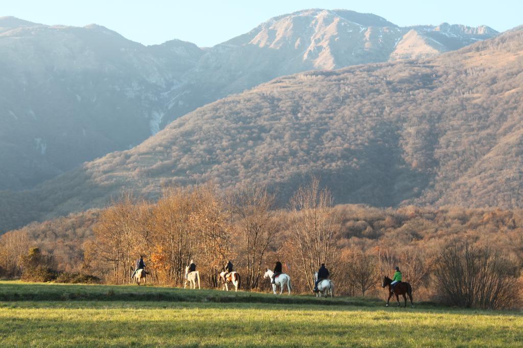 Agriturismo Al Ranch Castello dʼAviano Εξωτερικό φωτογραφία